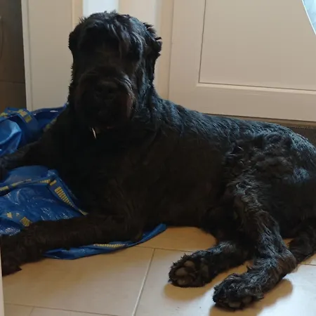 Ebsen Hh 1 Апартаменты *