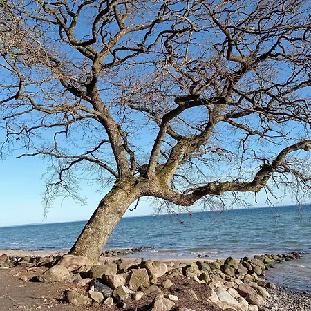 Ebsen Hh 1 Штайнберг