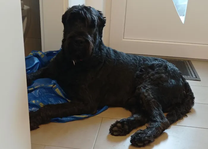 Ebsen Hh 1 Appartement *